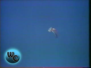 1974 Air Pollution PSA from the American Lung Association