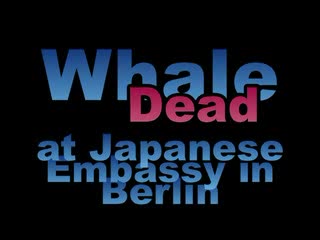 Greenpeace put a dead whale in front of Japanese Embassy in Berlin January 2006 to stop Japan whaling