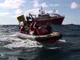 On Saturday 12 May 2007 our ship the Arctic Sunrise encountered a Scottish trawler in the North Sea. A swimmer jumped into the water in front of the trawler to try and stop it fishing Cod…
