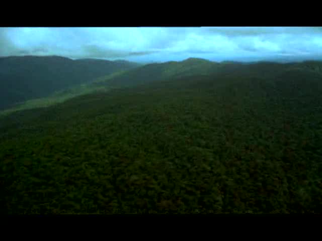 HRH The Prince of Wales presents an introduction to The Princes Rainforests Project his new charity dedicated to the cause of finding a way to ensure that tropical rainforests are worth more standing than cut down Here he welcomes viewers to his webs