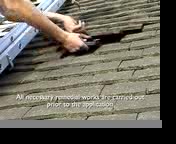 Environmentally friendly insulation being installed on a home roof