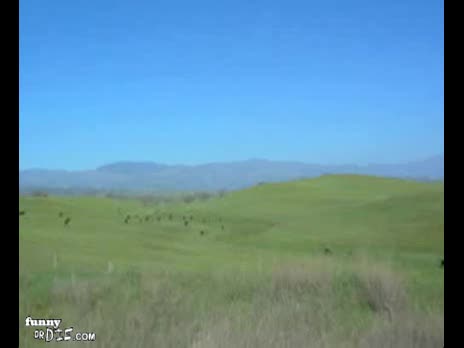 PSA about voting green in 2008. A reminder to Vote Green in the coming elections. Earth is our home and to not protect our home is to assure our destruction. Think. Act. Vote. Thanks.